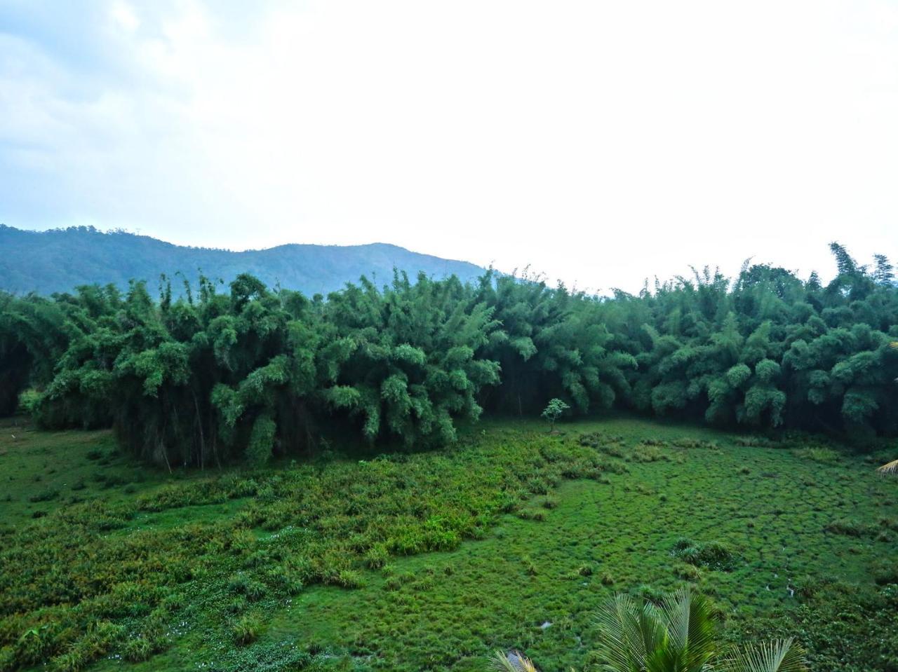Konark Homestay تيكَدِيْ المظهر الخارجي الصورة